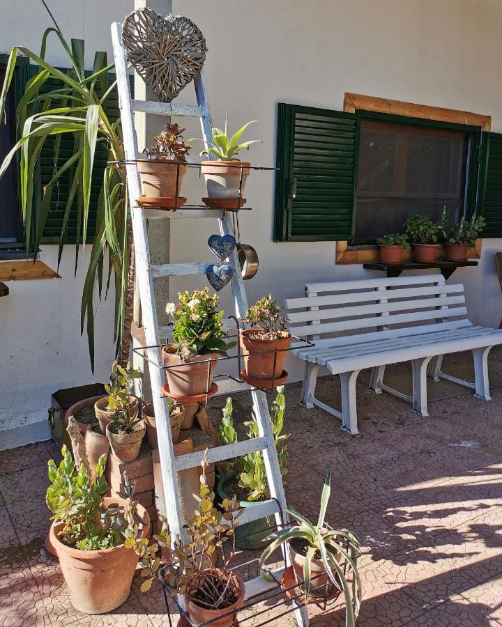 Sunset Valley Village Motta SantʼAnastasia Εξωτερικό φωτογραφία