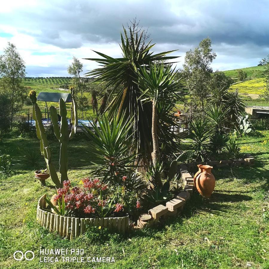 Sunset Valley Village Motta SantʼAnastasia Εξωτερικό φωτογραφία