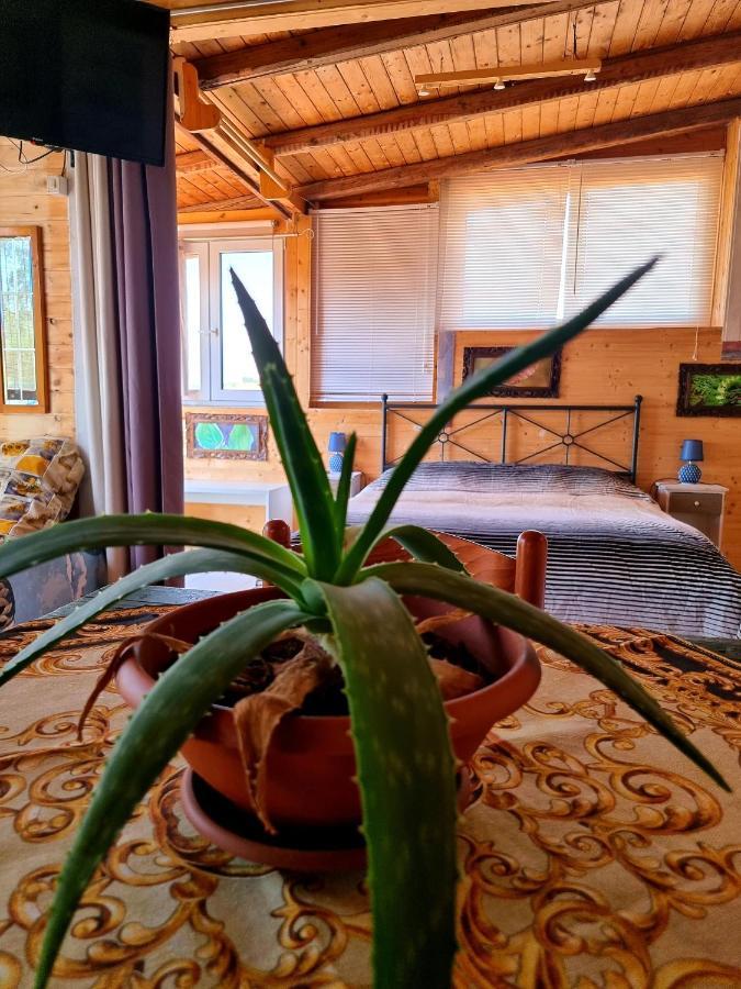 Sunset Valley Village Motta SantʼAnastasia Εξωτερικό φωτογραφία